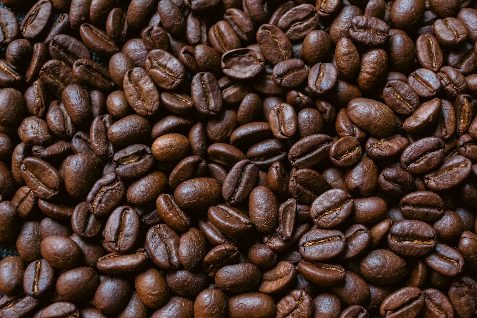 検品された自家焙煎のコーヒー豆